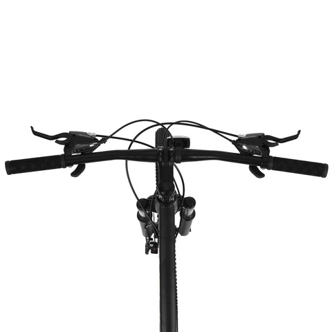 Велосипед Prof1 DELICATE DL-2906 29 д DL-2906 фото